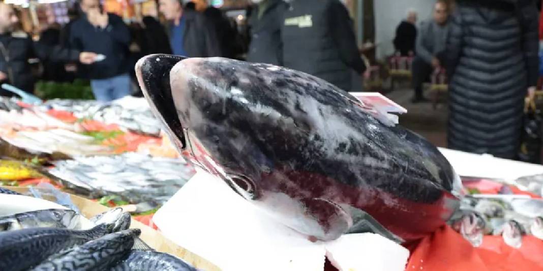 Akdeniz kıyılarında dev av: 1 metre 40 santim boyunda, kilosu 650 TL 1